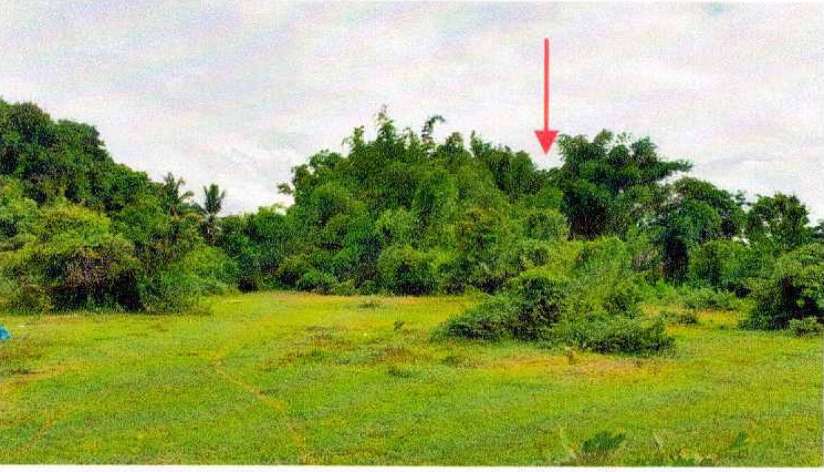 ที่ดินเปล่า หนองคาย เมืองหนองคาย กวนวัน 63700