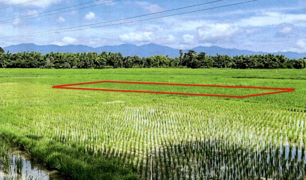 Residential land/lot Lampang Mueang Lampang Ban Pao 85000