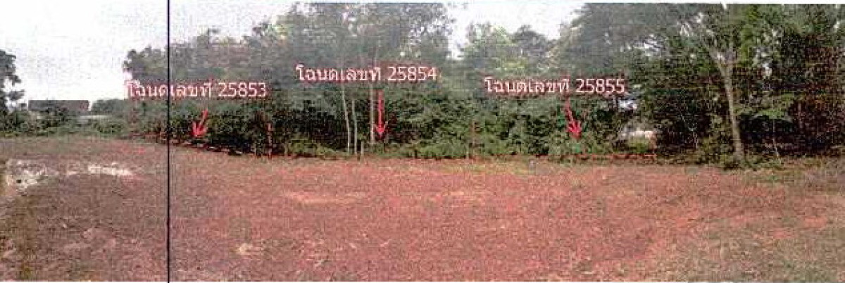 ที่ดินเปล่า หนองคาย เมืองหนองคาย โพธิ์ชัย 367600