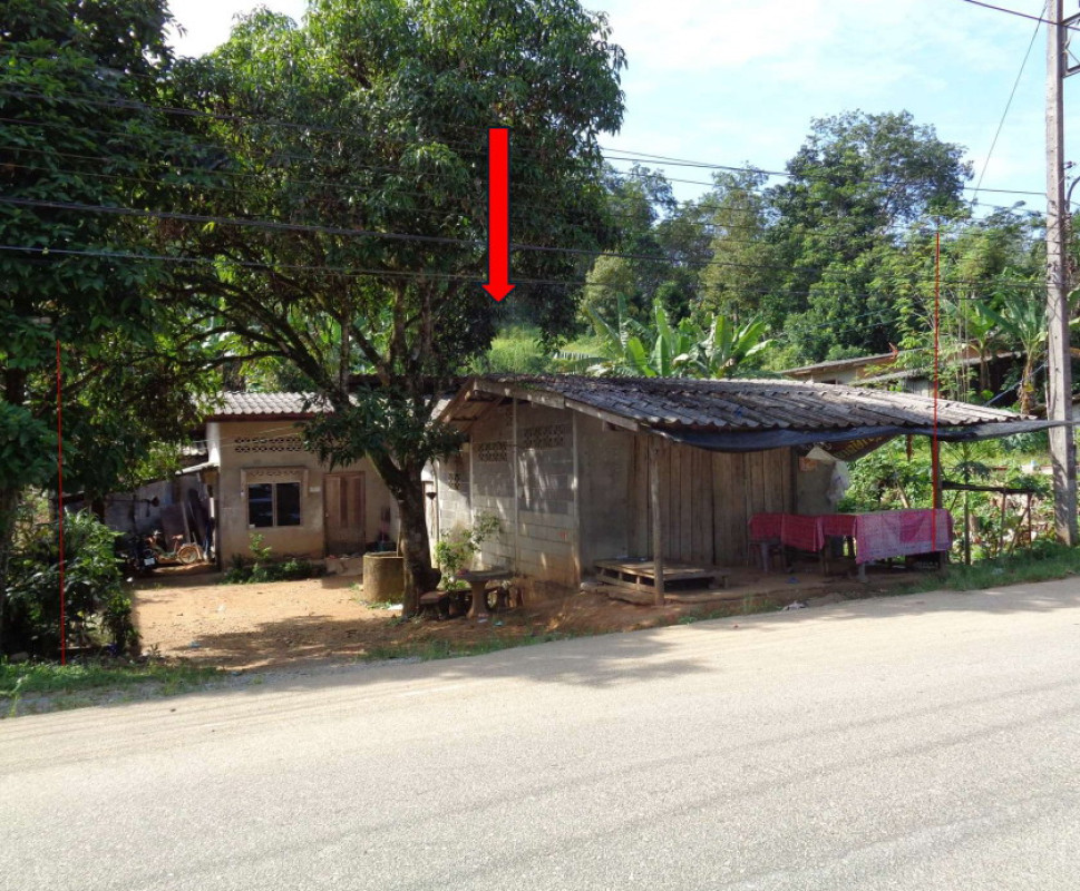 บ้านเดี่ยว นราธิวาส จะแนะ ช้างเผือก 1003450