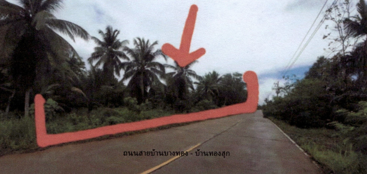 ที่ดินเปล่า สุราษฎร์ธานี เมืองสุราษฎร์ธานี บางชนะ 0