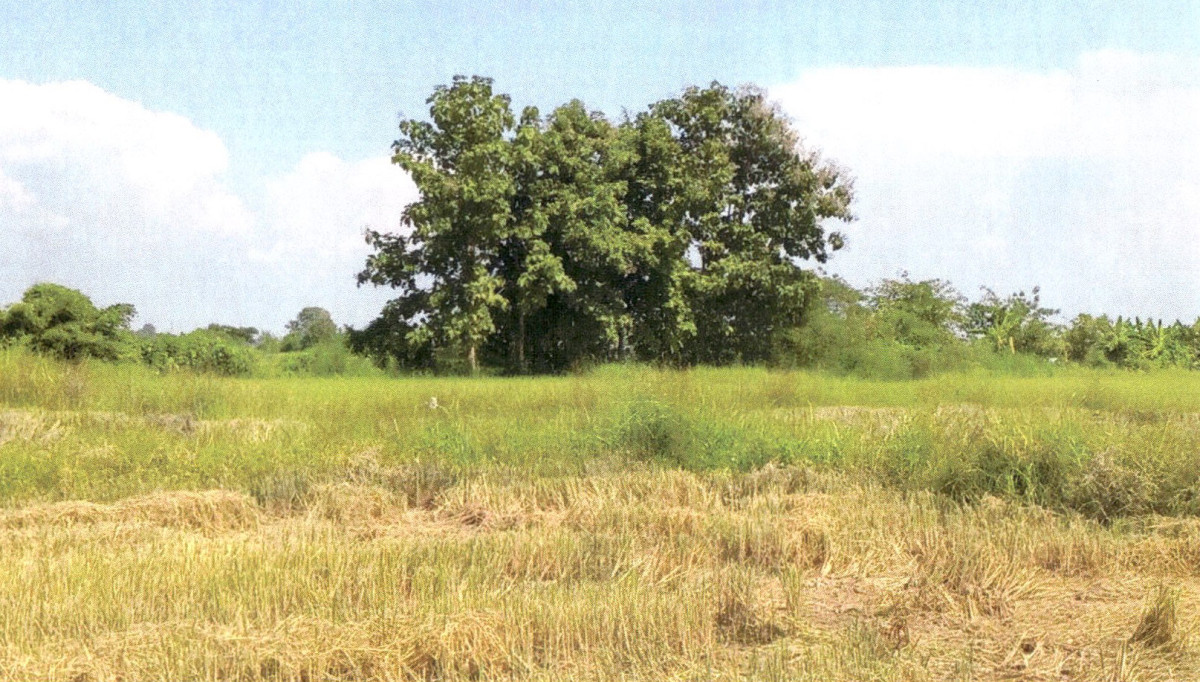 Residential land/lot Phrae Mueang Phrae Pa Maet 237060