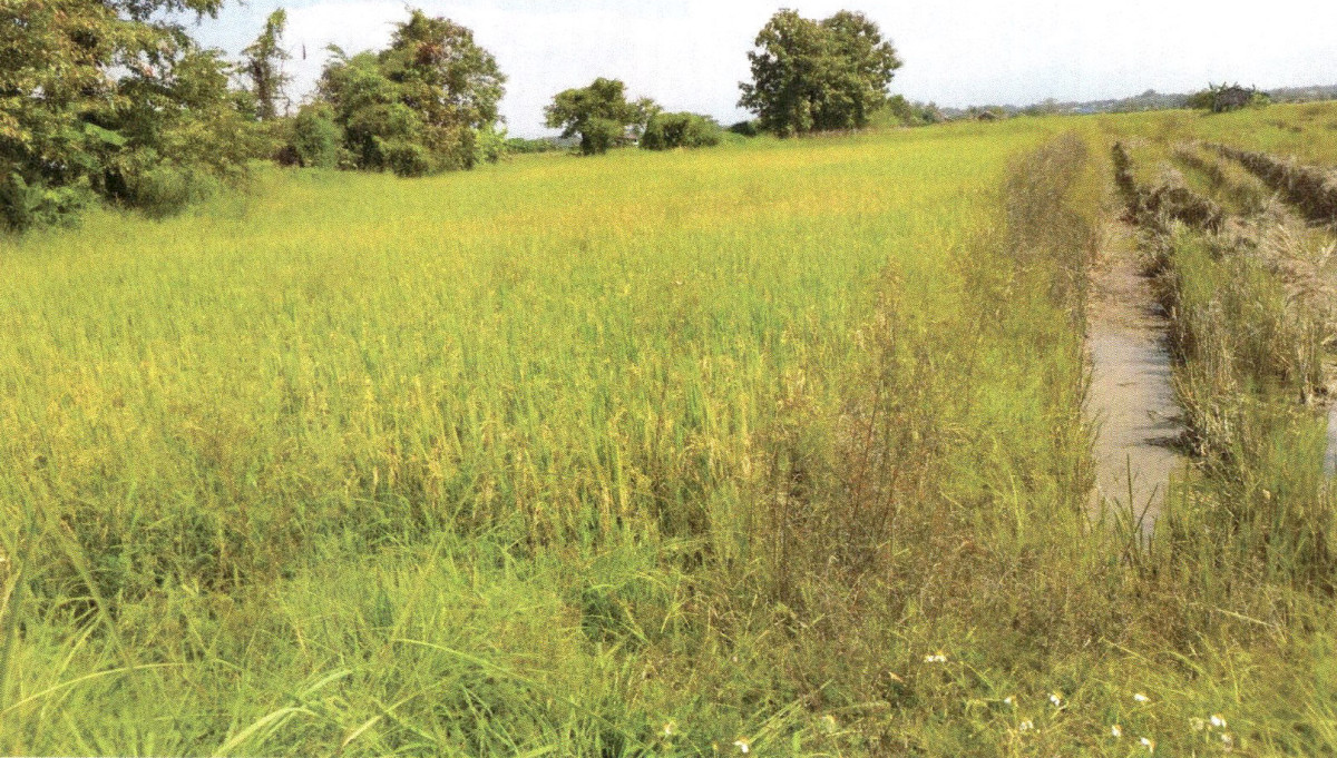 Residential land/lot Phrae Mueang Phrae Pa Maet 77370