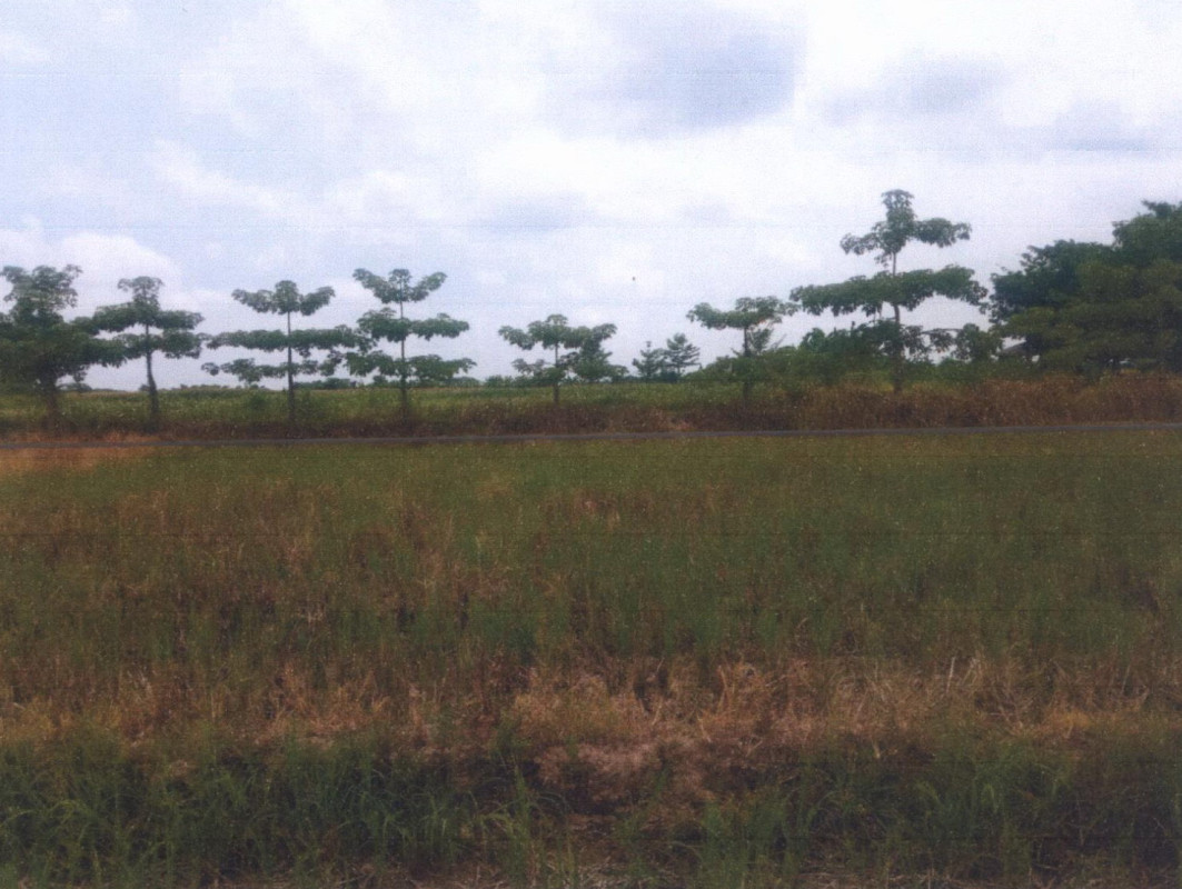Residential land/lot Phrae Song Ban Nun 81000