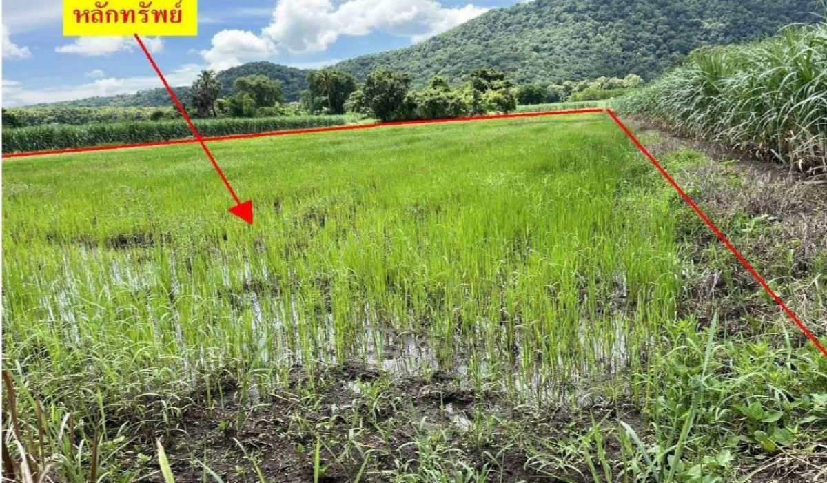ที่ดินเปล่า สุโขทัย ศรีสัชนาลัย ดงคู่ 715780