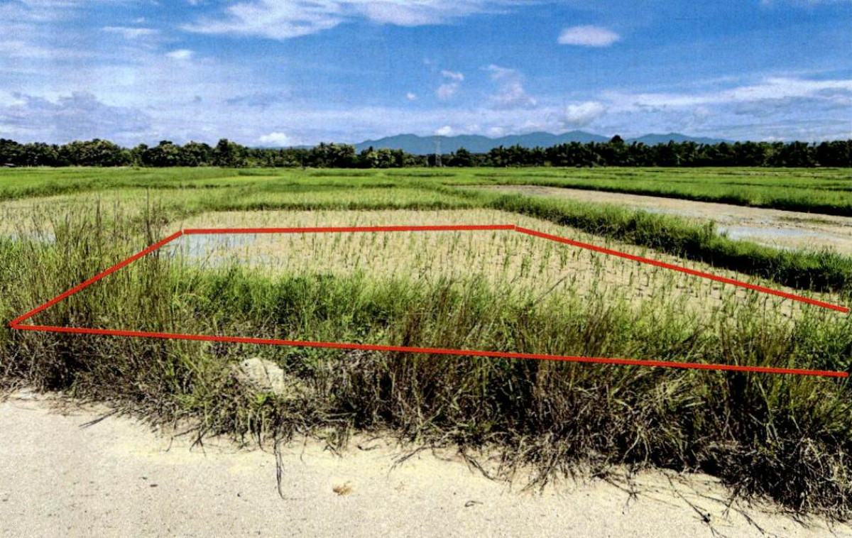 ที่ดินเปล่า ลำปาง เมืองลำปาง บ้านเป้า 52200