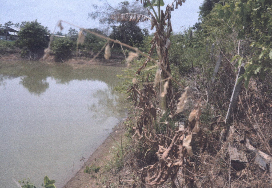 ที่ดินเปล่า แพร่ เมืองแพร่ ทุ่งกวาว 39600