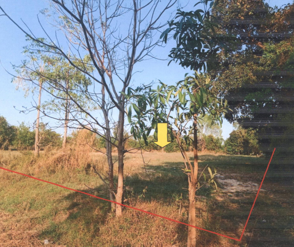 ที่ดินเปล่า อุบลราชธานี วารินชำราบ แสนสุข 844200