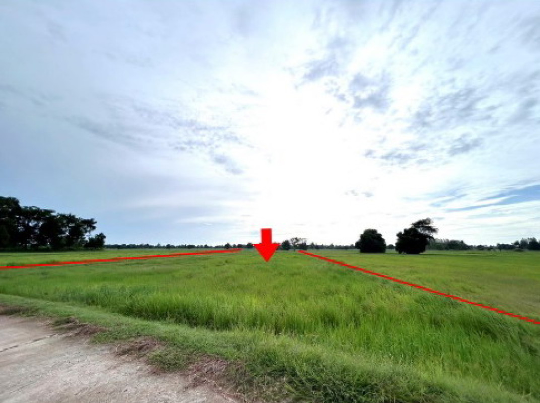ที่ดินเปล่า นครราชสีมา บัวลาย เมืองพะไล 202800