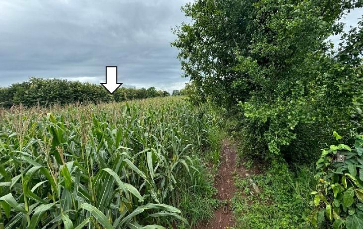 Residential land/lot Phayao Dok Khamtai Ban Tham 312000