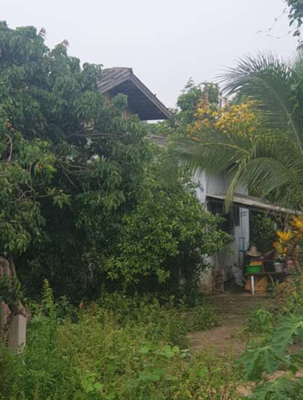 บ้านเดี่ยว เชียงใหม่ สันทราย แม่แฝกใหม่ 765420