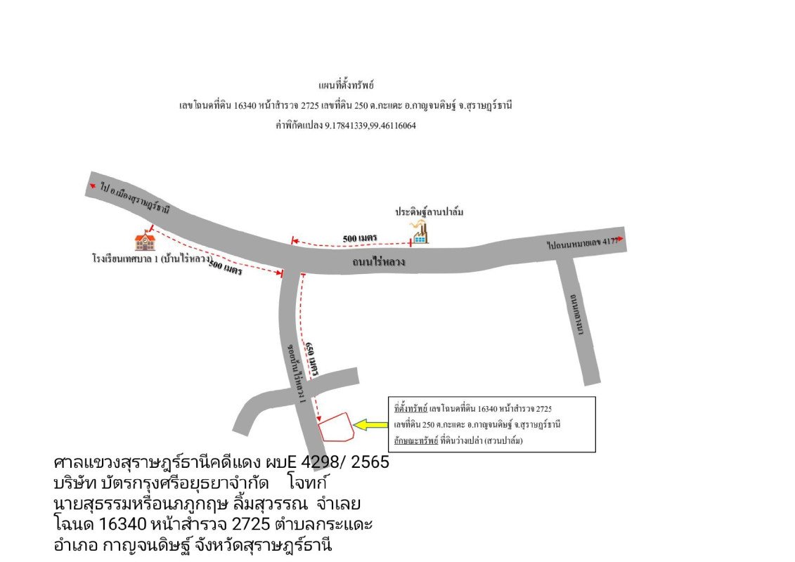 ที่ดินเปล่า สุราษฎร์ธานี กาญจนดิษฐ์ กะแดะ 1000300