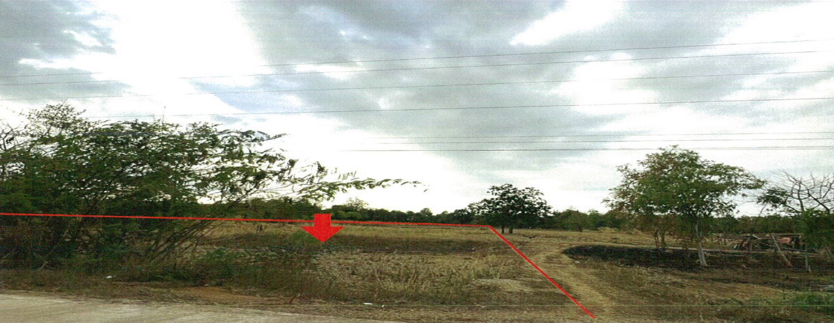 ที่ดินเปล่า สกลนคร วานรนิวาส หนองสนม 262360
