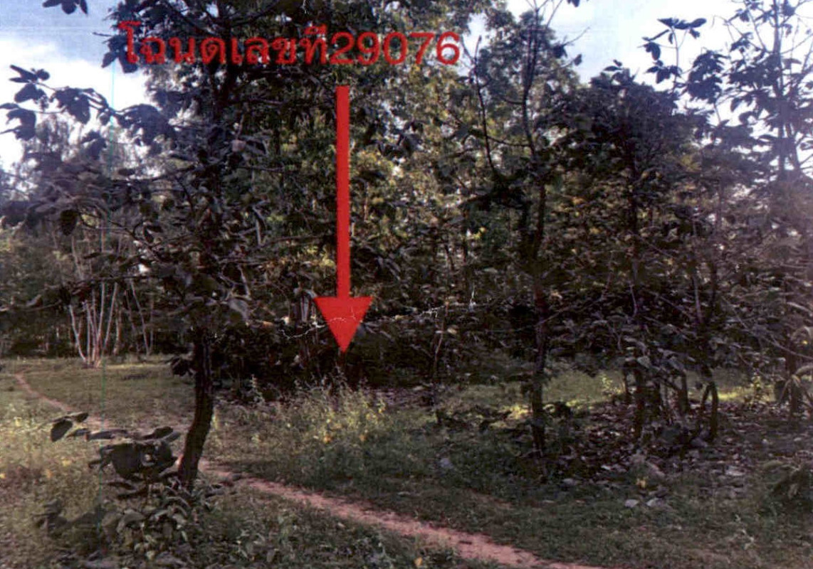 ที่ดินเปล่า นครราชสีมา ประทาย นางรำ 223575