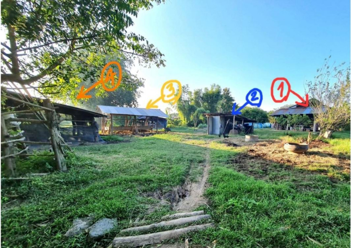 บ้านเดี่ยว พะเยา แม่ใจ บ้านเหล่า 412840