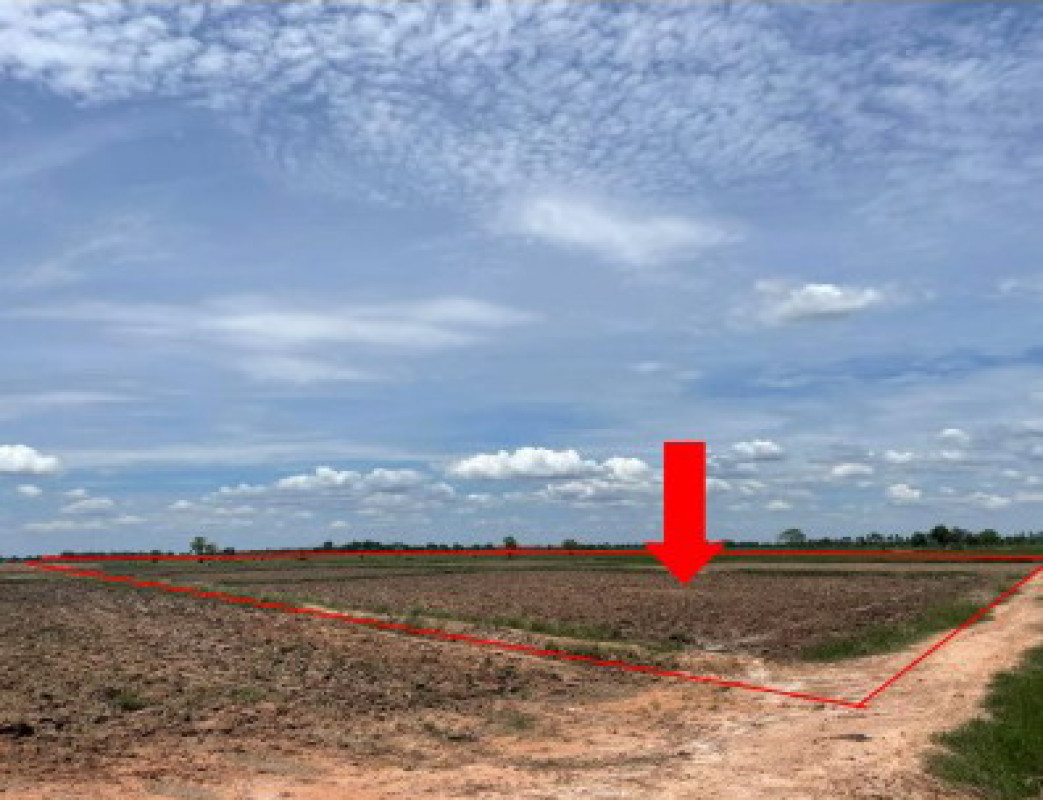 ที่ดินเปล่า นครราชสีมา โนนแดง สำพะเนียง 594290