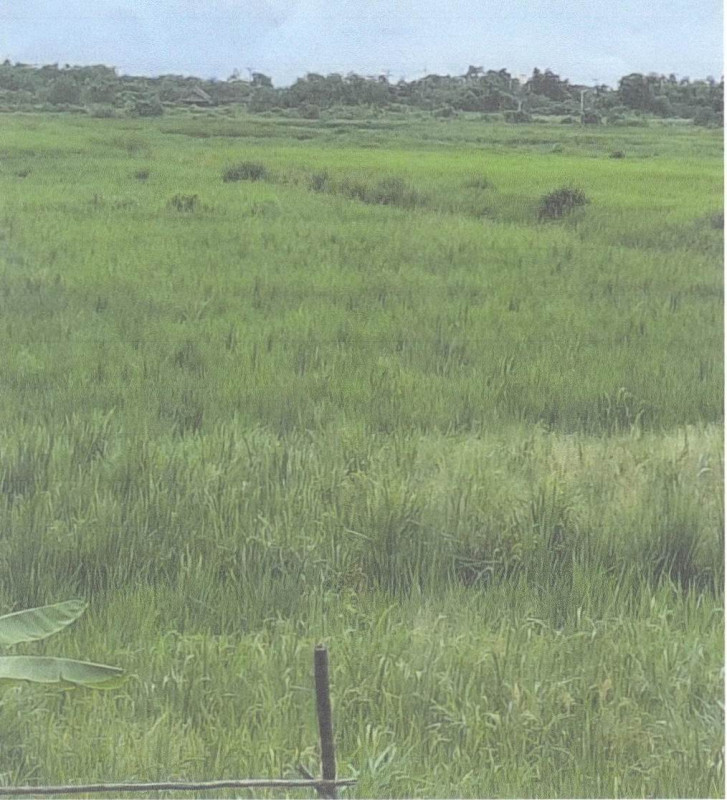 ที่ดินเปล่า จันทบุรี แหลมสิงห์ หนองชิ่ม 21860
