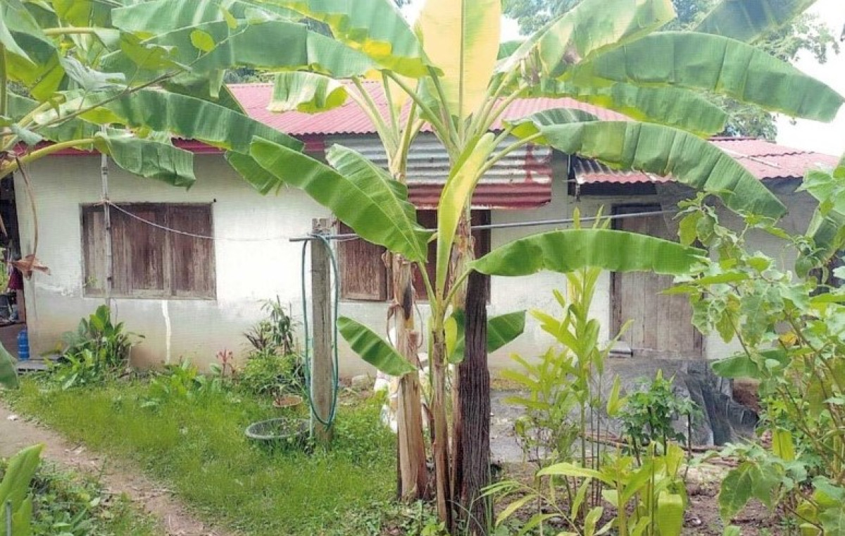 Single house Ubon Ratchathani Phibun Mangsahan Don Chik 302570