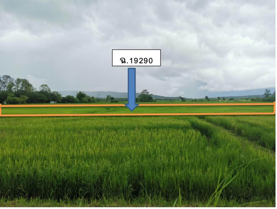 Residential land/lot Phayao Mae Chai Ban Lao 201786