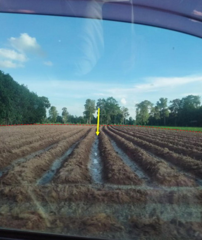 Residential land/lot Ubon Ratchathani Nam Yuen Kao Kham 123880