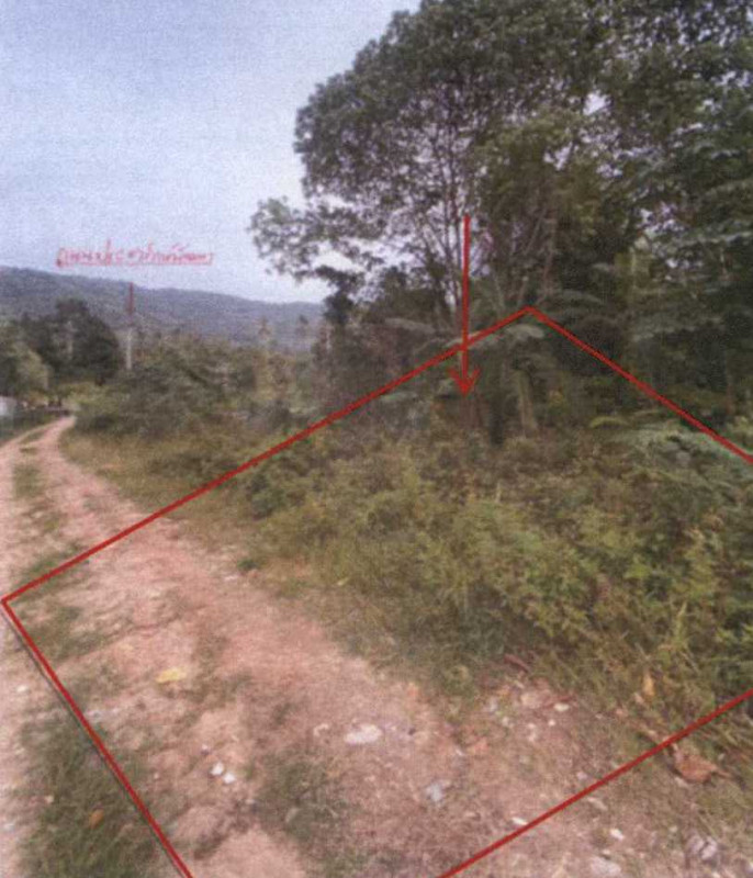 ที่ดินเปล่า สุราษฎร์ธานี เกาะสมุย หน้าเมือง 1995000