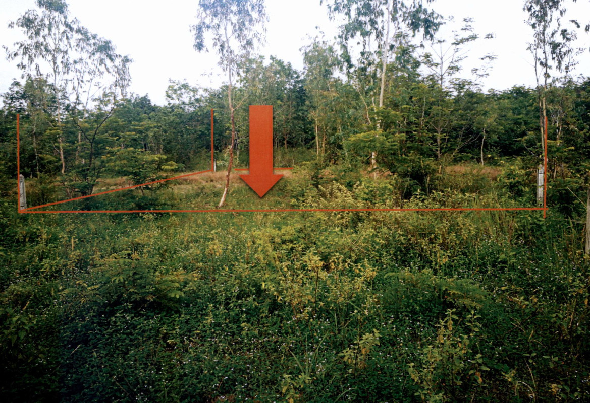 Residential land/lot Ubon Ratchathani Mueang Ubon Ratchathani Khi Lek 52000