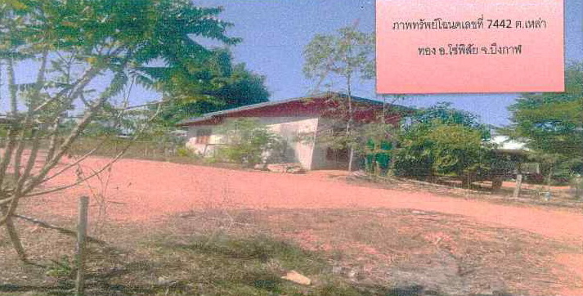บ้านเดี่ยว บึงกาฬ โซ่พิสัย เหล่าทอง 332295