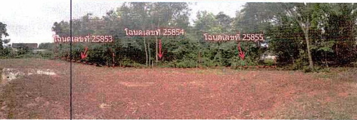 ที่ดินเปล่า หนองคาย เมืองหนองคาย โพธิ์ชัย 376400
