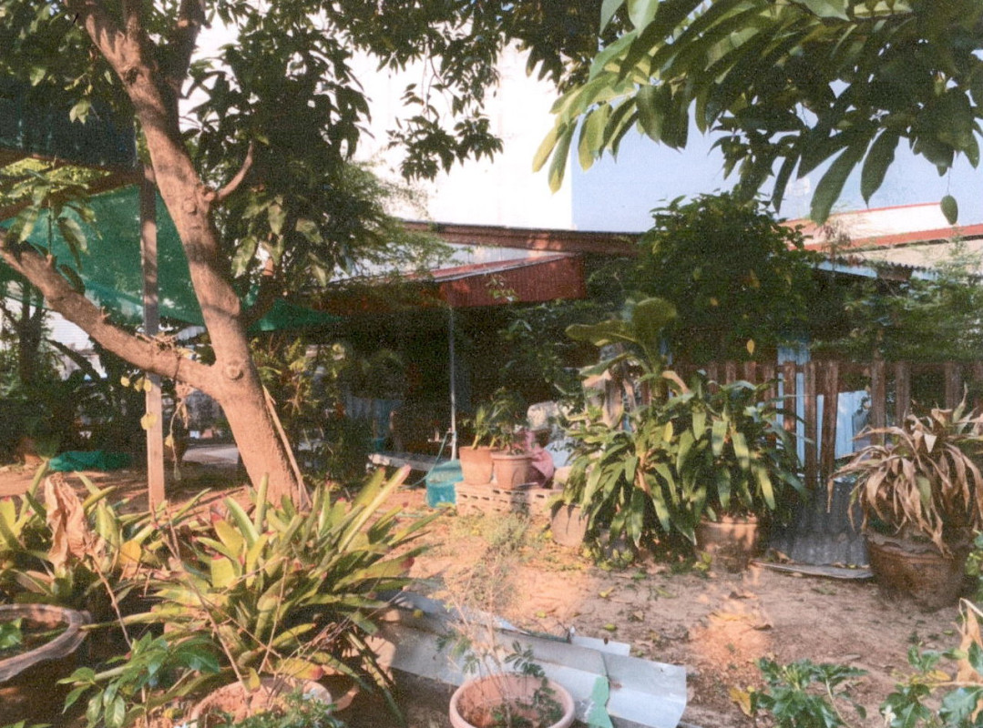 บ้านเดี่ยว กาฬสินธุ์ เมืองกาฬสินธุ์ หลุบ 1107790