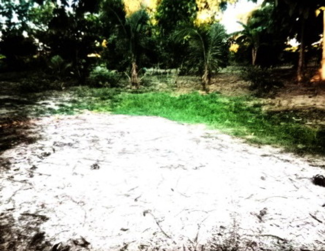 ที่ดินเปล่า กาฬสินธุ์ กุฉินารายณ์ จุมจัง 800000