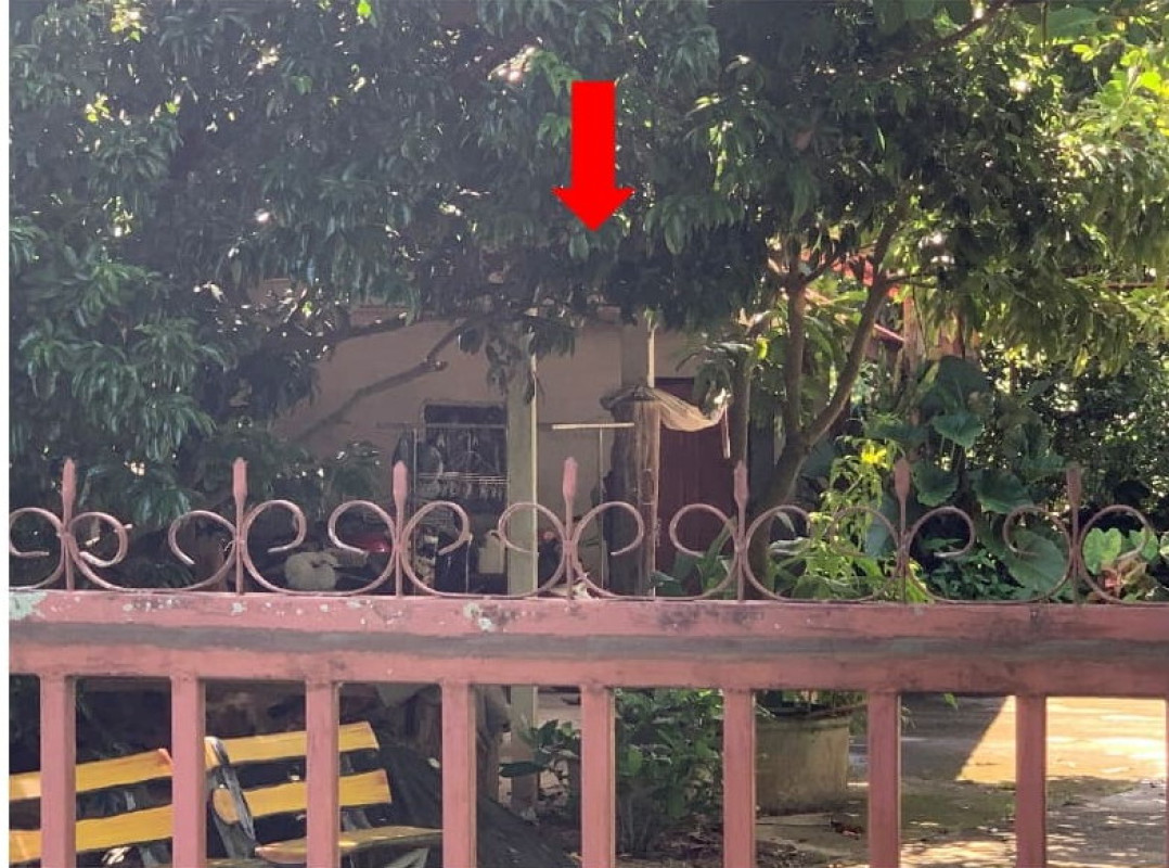 บ้านเดี่ยว เชียงใหม่ สันทราย หนองหาร 3380910