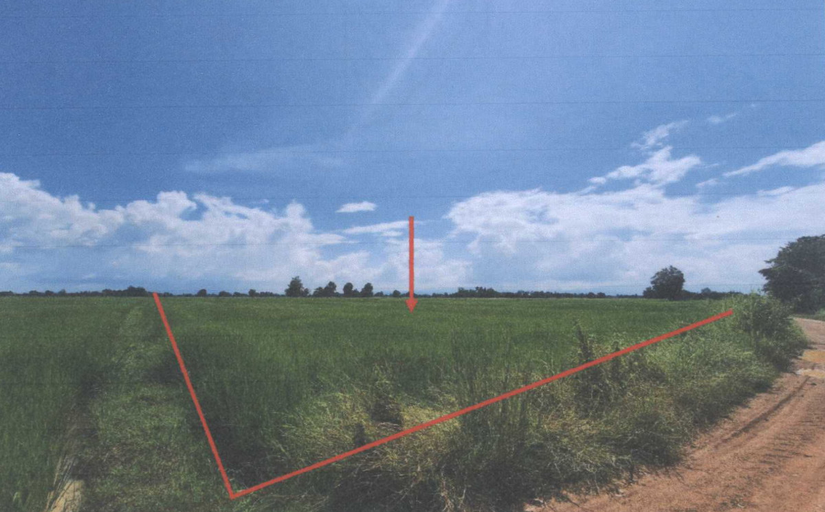 Residential land/lot Phayao Dok Khamtai San Khong 3346800