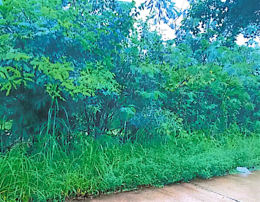 ที่ดินเปล่า สกลนคร บ้านม่วง ม่วง 108000