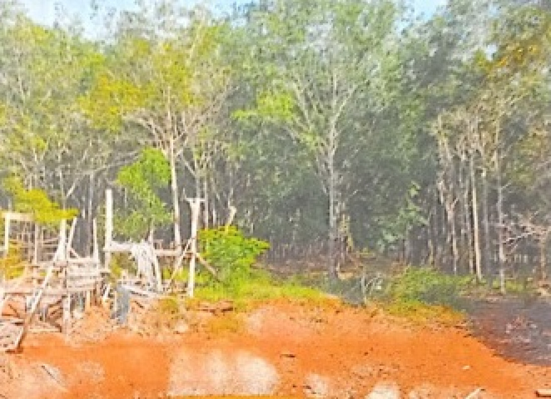 ที่ดินเปล่า หนองคาย โพนพิสัย กุดบง 599347