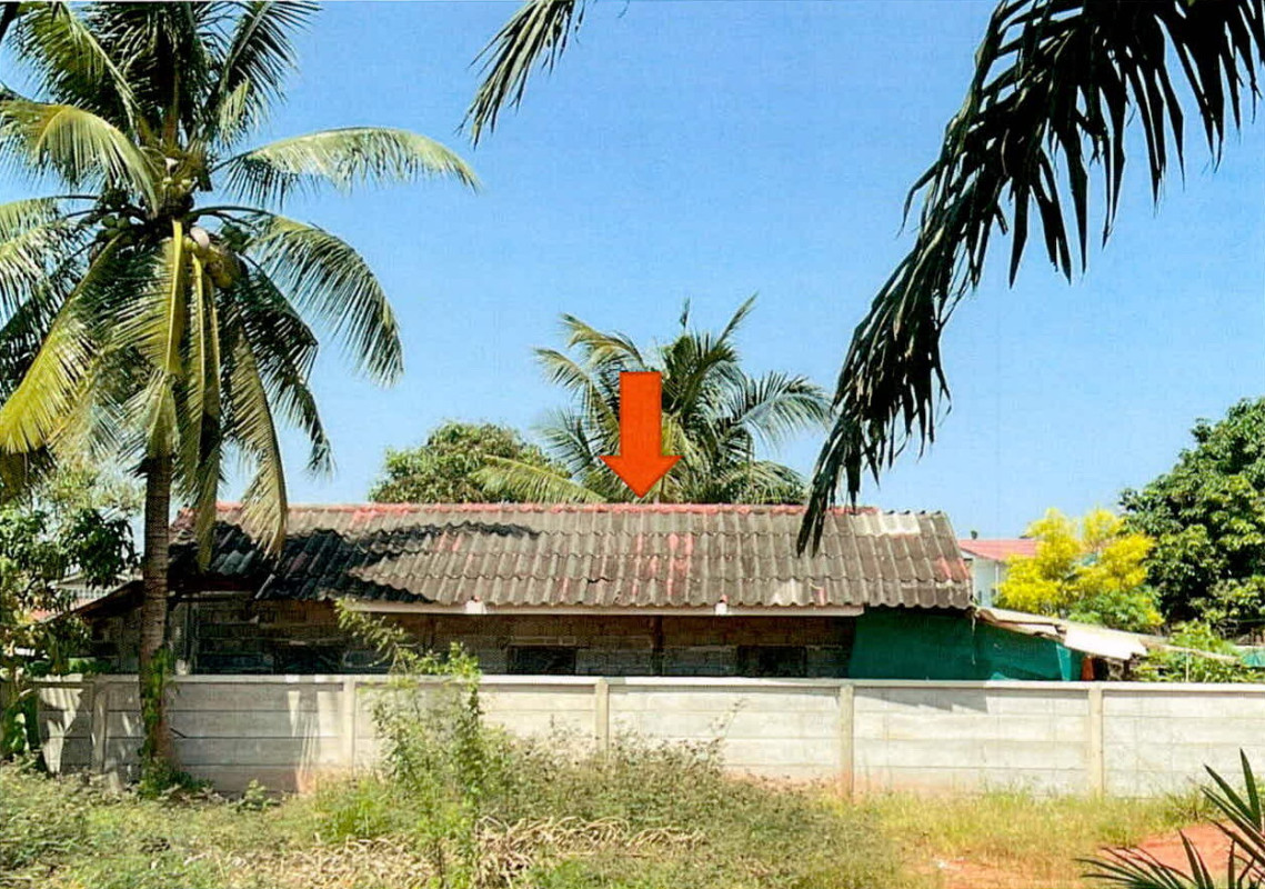 บ้านเดี่ยว สุราษฎร์ธานี เมืองสุราษฎร์ธานี บางกุ้ง 1653375