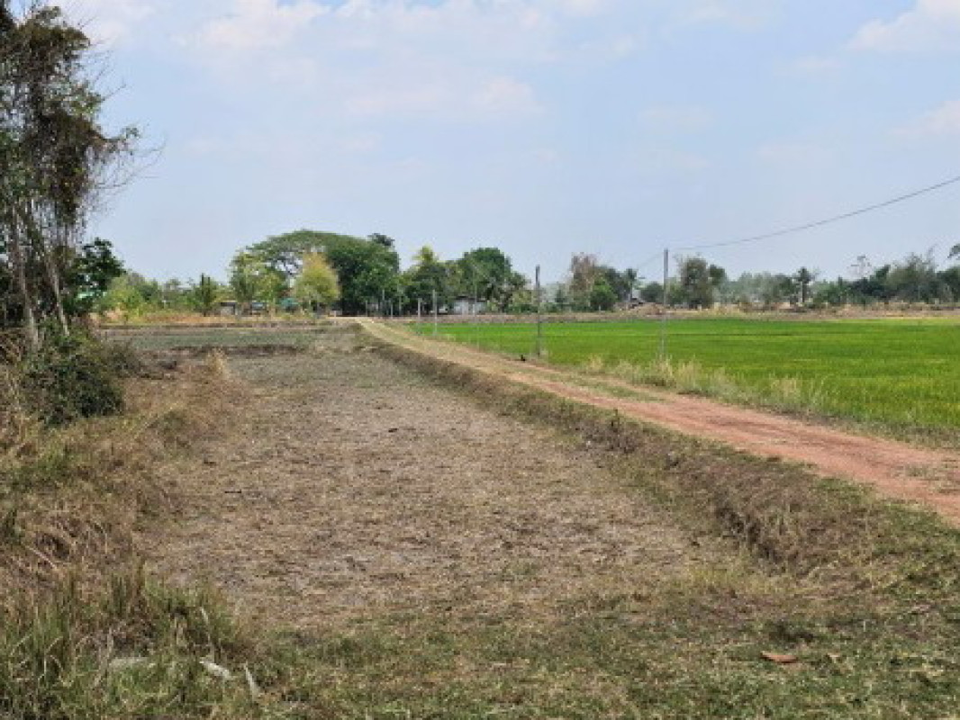 ที่ดินเปล่า กาฬสินธุ์ สมเด็จ แซงบาดาล 740000