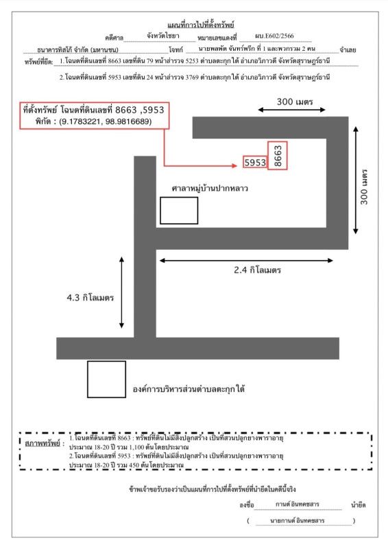 ที่ดินเปล่า สุราษฎร์ธานี วิภาวดี ตะกุกใต้ 819951