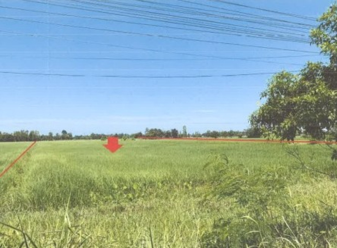 ที่ดินเปล่า กาฬสินธุ์ ฆ้องชัย ฆ้องชัยพัฒนา 2863000