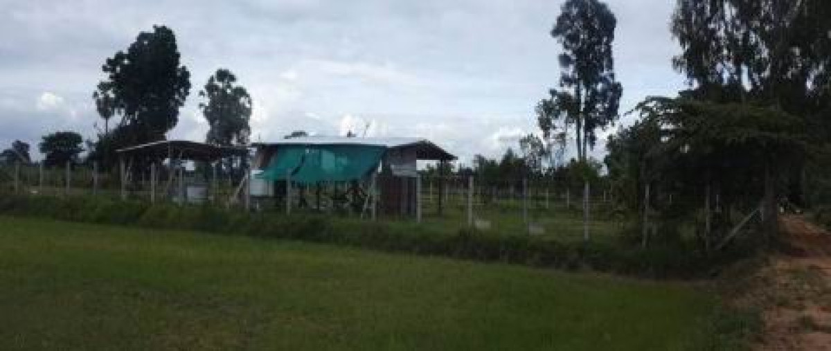 บ้านเดี่ยว กาฬสินธุ์ ฆ้องชัย โคกสะอาด 304000