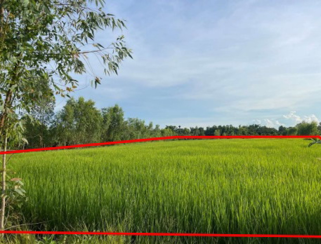 ที่ดินเปล่า สกลนคร วานรนิวาส เดื่อศรีคันไชย 598520