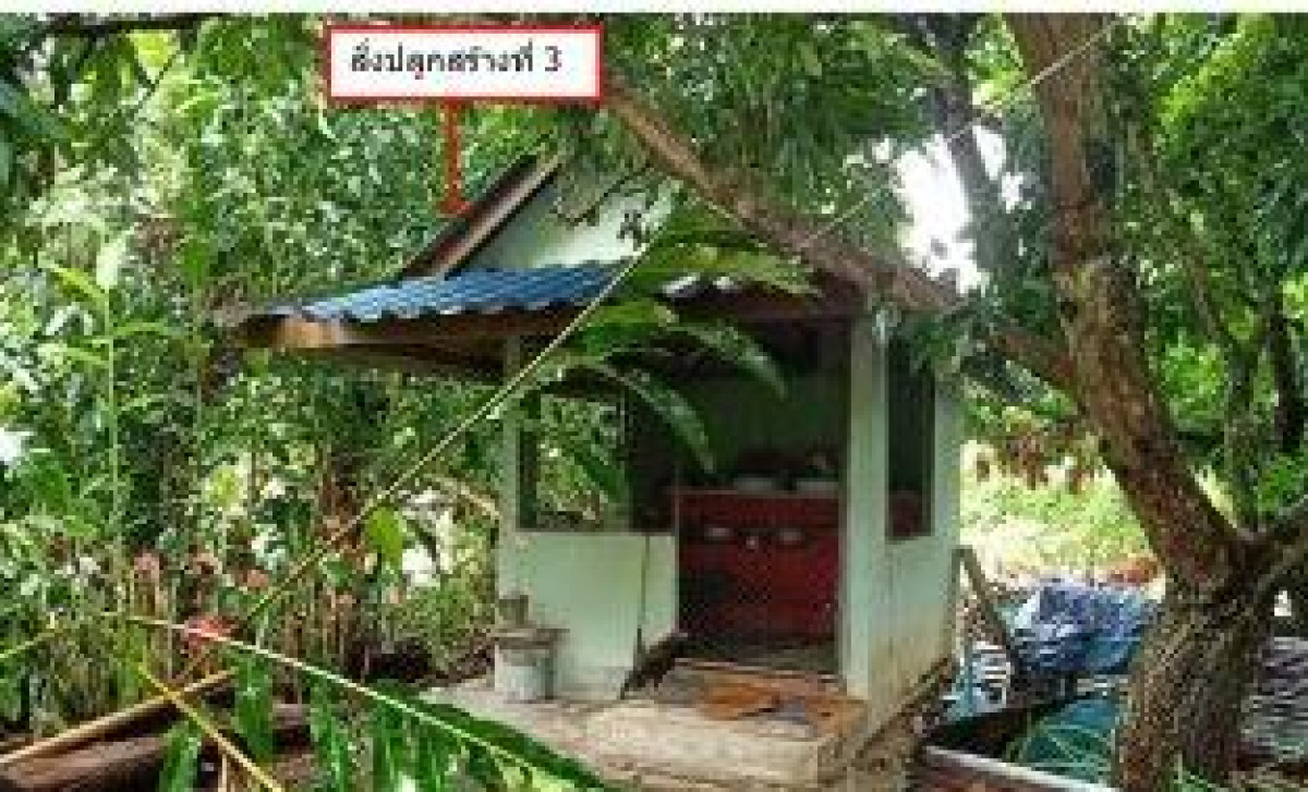 บ้านเดี่ยว เชียงใหม่ พร้าว ป่าไหน่ 503388