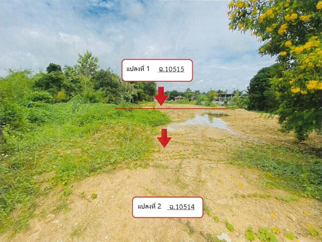 ที่ดินเปล่า กาญจนบุรี ทองผาภูมิ ลิ่นถิ่น 156560