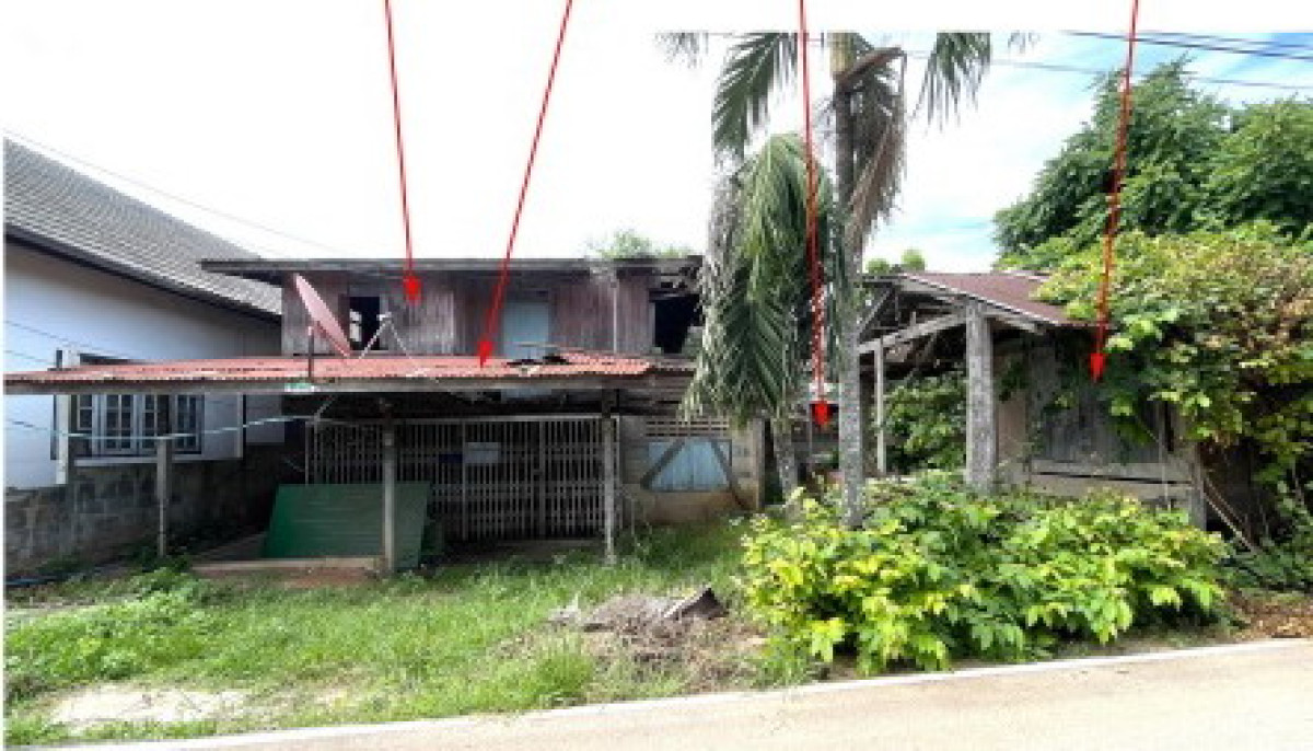 บ้านเดี่ยว นครราชสีมา แก้งสนามนาง แก้งสนามนาง 235375