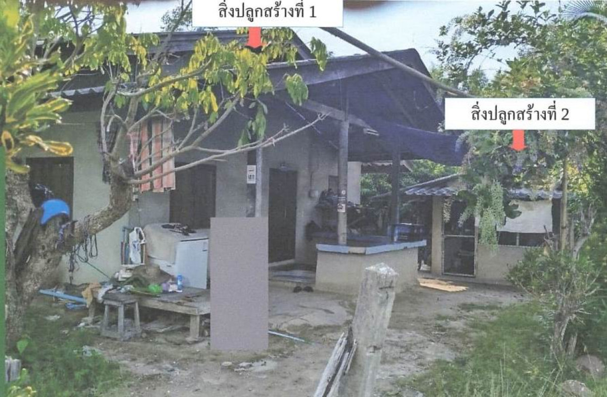 บ้านเดี่ยว เชียงใหม่ ดอยหล่อ ยางคราม 496104