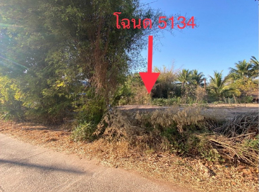 ที่ดินเปล่า อุดรธานี โนนสะอาด โคกกลาง 114750