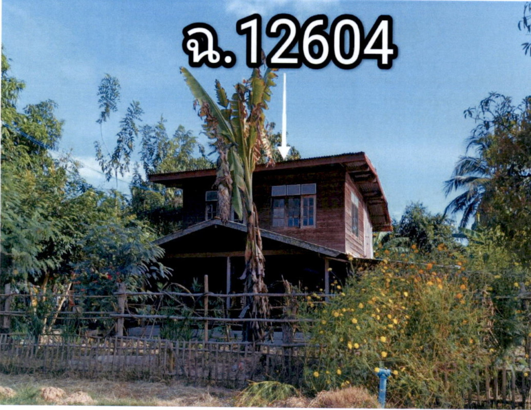 Single house Kalasin Huai Phueng Nong I But 220000