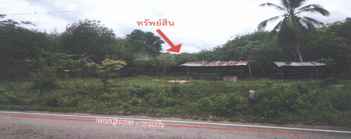 ที่ดินเปล่า สงขลา จะนะ นาหว้า 492399