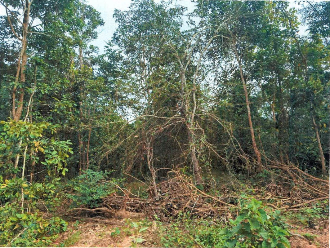Residential land/lot Lampang Mae Phrik Mae Pu 100000