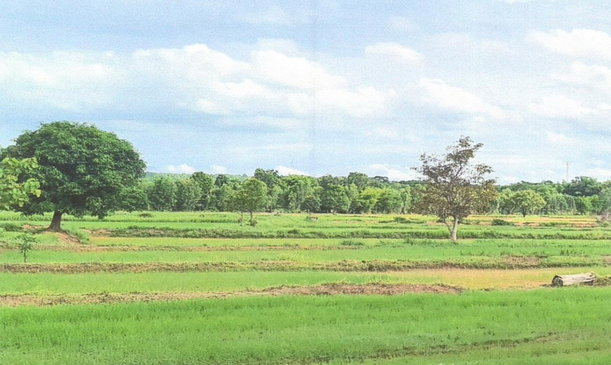 ที่ดินเปล่า ขอนแก่น หนองเรือ บ้านผือ 207400