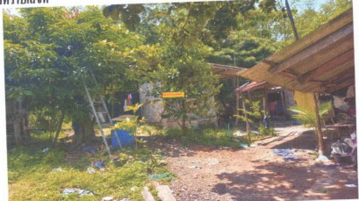 บ้านเดี่ยว สงขลา จะนะ นาทับ 1057520